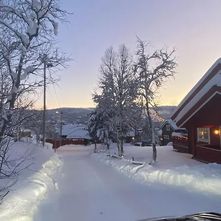 Solsiden Διαμέρισμα *