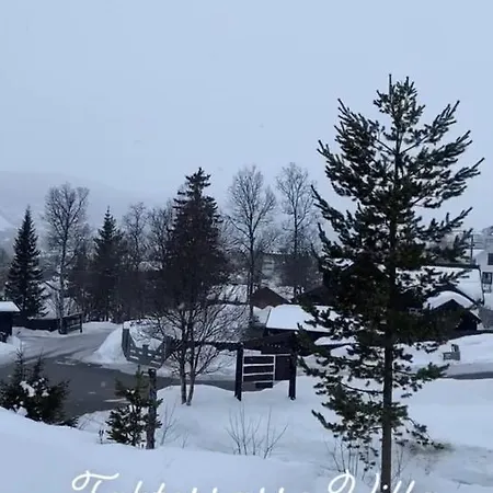 Διαμέρισμα Solsiden